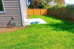 Image of Henry S. Landscaping