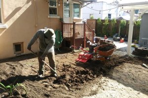 Image of Go green Lawn Care