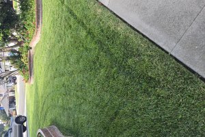 Image of Martin lawn maintenance garden 