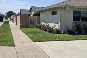 Image of Martin lawn maintenance garden 