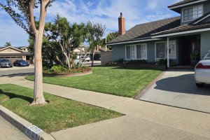 Image of Martin lawn maintenance garden 