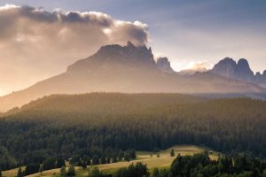 Image of Maid Experts