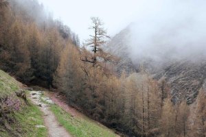 Image of Marianna's Cleaning Co.