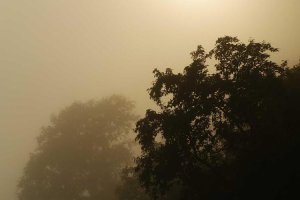 Image of Cleenora Maids and Cleaning Services Lakewood Village