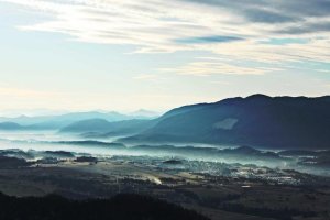 Image of Cleenora Maids and Cleaning Services Lakewood Village