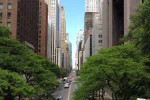 Image of Electrical Work Any