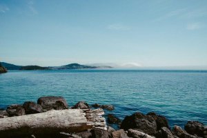 Image of Electrical Work Any