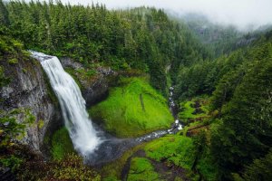 Image of Zoom Electricians