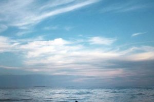 Image of Zoom Electricians