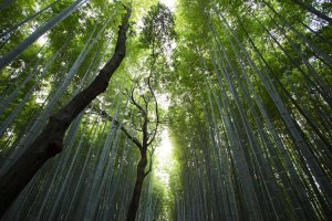 Image of Heating and Air Conditioning of Long Beach