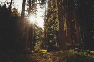 Image of Danr Electric