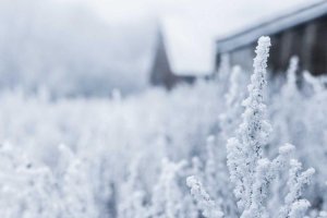 Image of International HVAC Long Beach