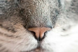 Image of AAA CALVERT Electrical, Heating and Air Conditioning