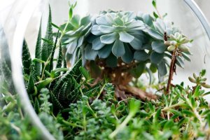 Image of Mario Castillo Electric