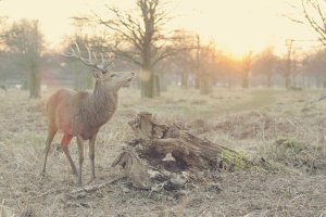 Image of Mario Castillo Electric