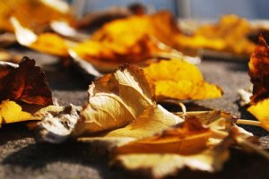 Image of RM Electric Service