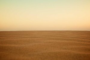 Image of Woolf Electric