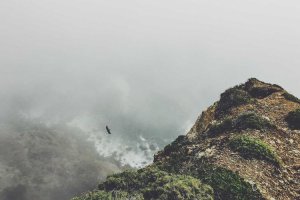 Image of Technique 24 Hour Electrician