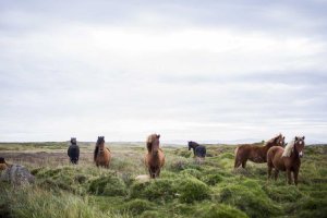 Image of T & H Electric Inc.