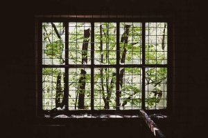 Image of Island Upholstery Cleaning