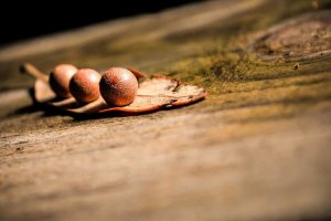 Image of Top Rated Pool Care