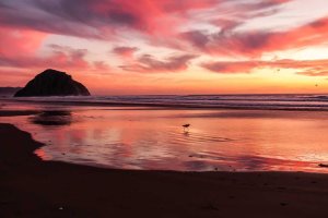 Image of Step Into Liquid Pool & Spa