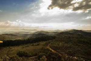Image of Step Into Liquid Pool & Spa