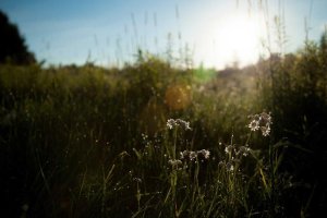 Image of Step Into Liquid Pool & Spa