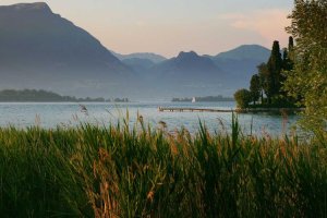 Image of Gonzalez Pool Cleaning