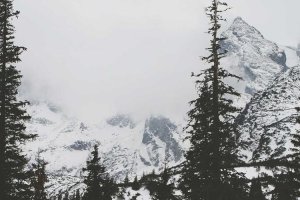 Image of Gonzalez Pool Cleaning