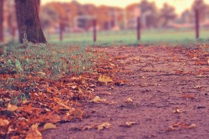 Image of SCV Pool Cleaner