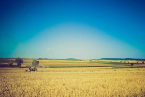 Image of Aloha Pool Cleaning LLC