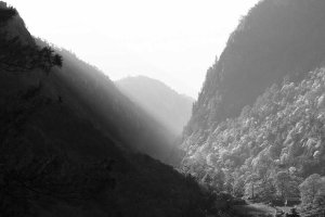 Image of Aloha Pool Cleaning LLC