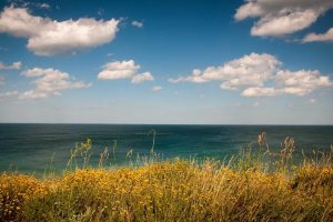 Image of Angeles pool service