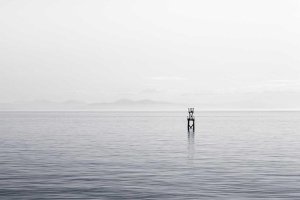 Image of Angeles pool service