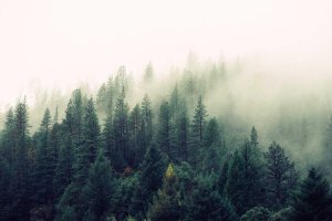 Image of Prime Power Clean, LLC