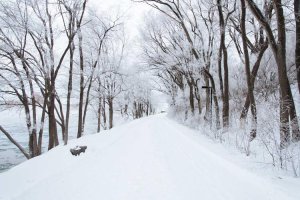 Image of Strong Beach Plumbing
