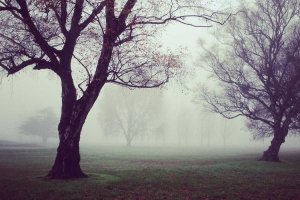 Image of Omar's Plumbing in Long Beach