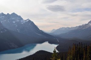 Image of Pro Plumbers Inc Long Beach, CA