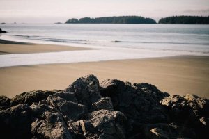 Image of Hire-Me Plumbing, Inc.