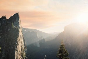 Image of Plumber Lakewood