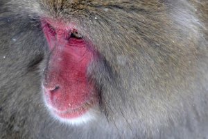 Image of My Lakewood Plumber Hero