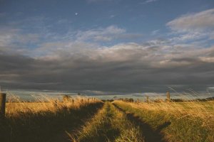 Image of Level Up Plumbing Inc.