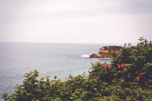 Image of Level Up Plumbing Inc.