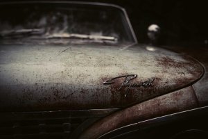 Image of Pierside Plumbing