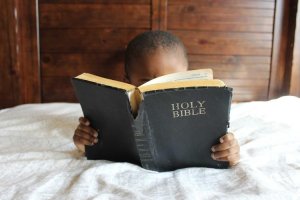 Image of Wish Granted Plumbing