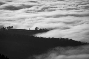 Image of Plumbing by Tony