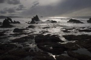 Image of New Day Carpet Cleaners