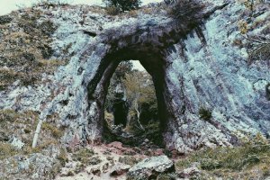 Image of Professional Plumbing & Sewer