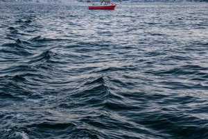 Image of Bristol Carpets & Rugs Cleaner